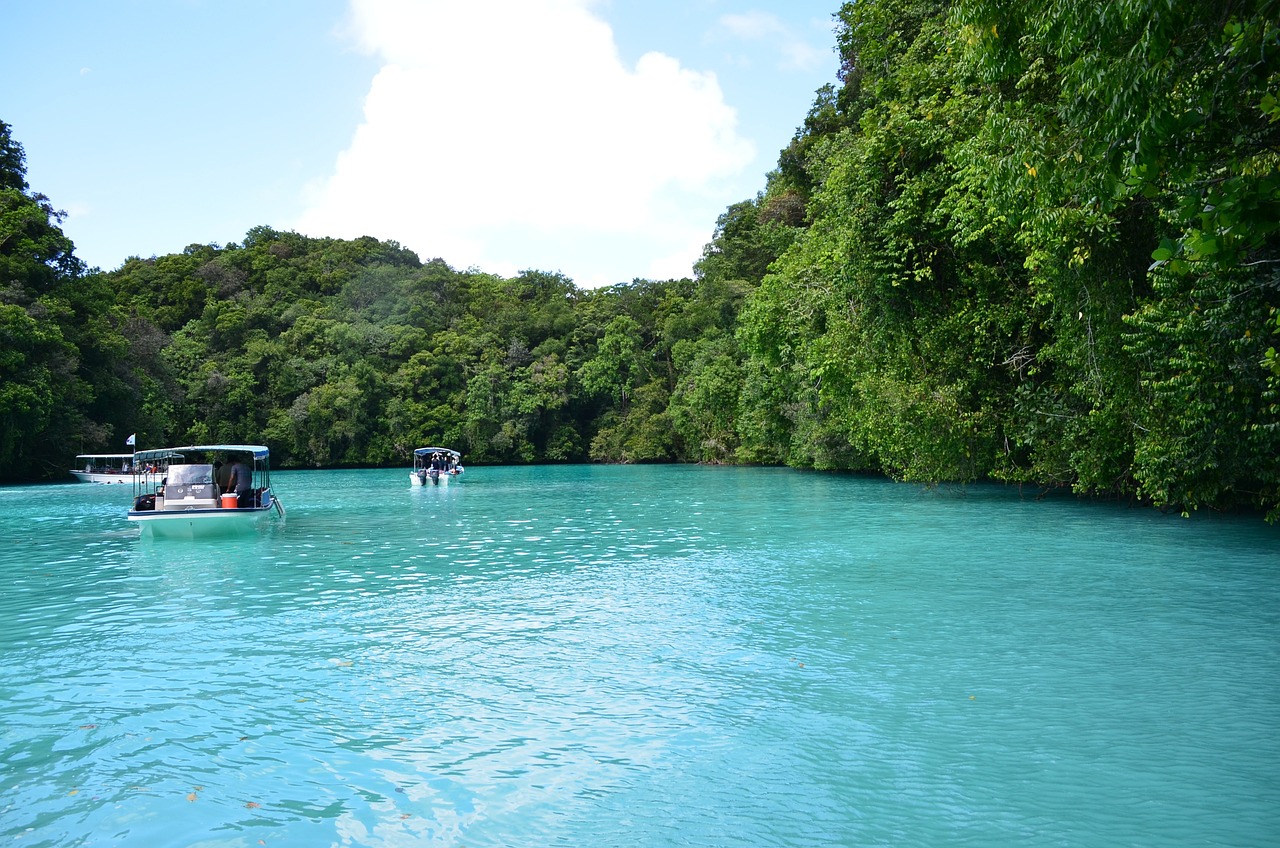 Discover Paradise: Rock Islands Palau Boat Tour Unveils Milky Way ...