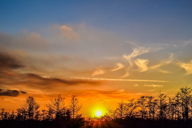 sunset, everglades, landscape-2934980.jpg