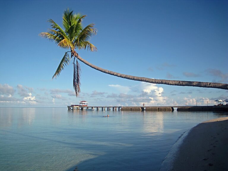 wakatobi, sulawesi, indonesia-1109722.jpg